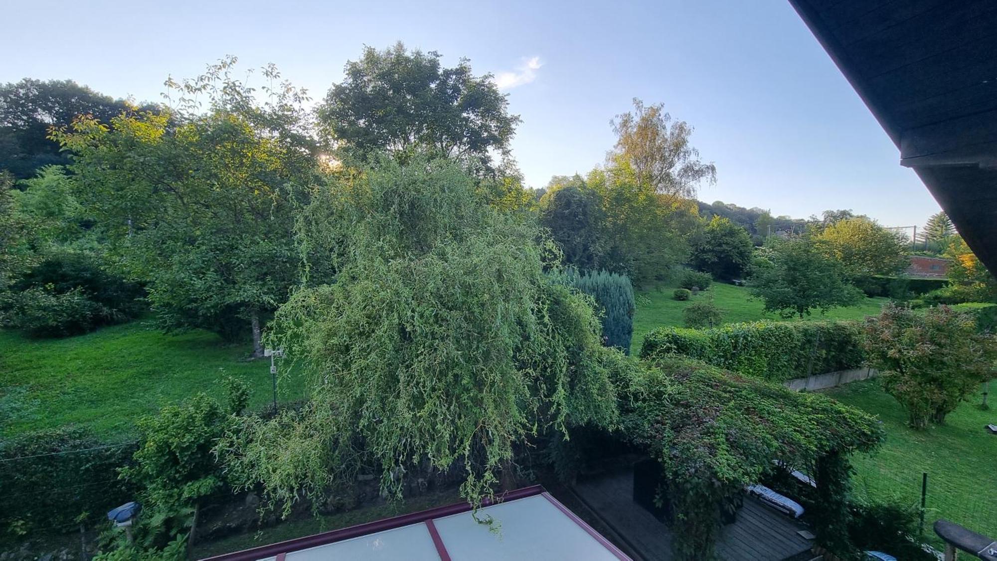 L Orchidee Villa Dinant Buitenkant foto